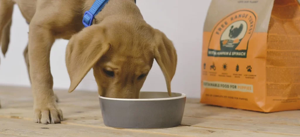 Puppy Dry Food