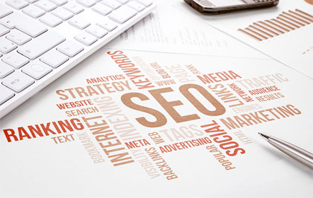 SEO Consultant